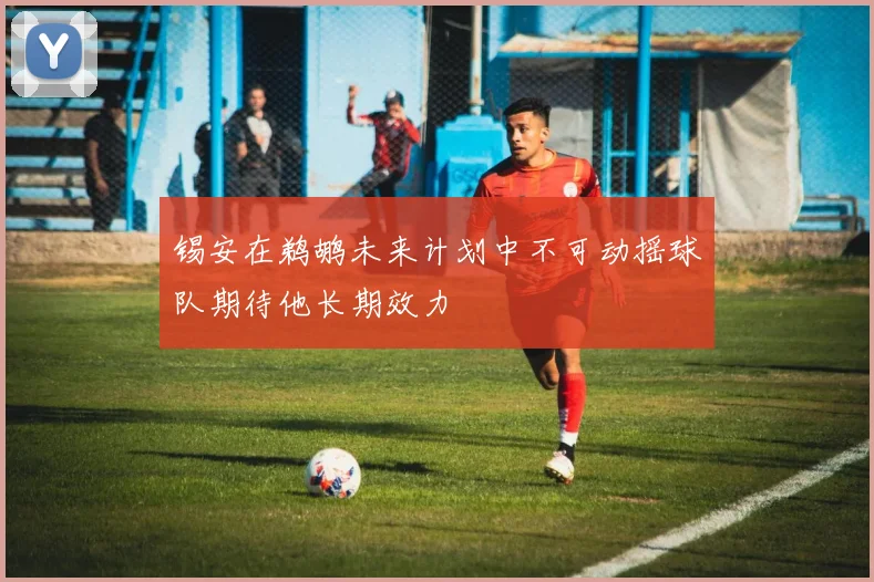 锡安在鹈鹕未来计划中不可动摇球队期待他长期效力
